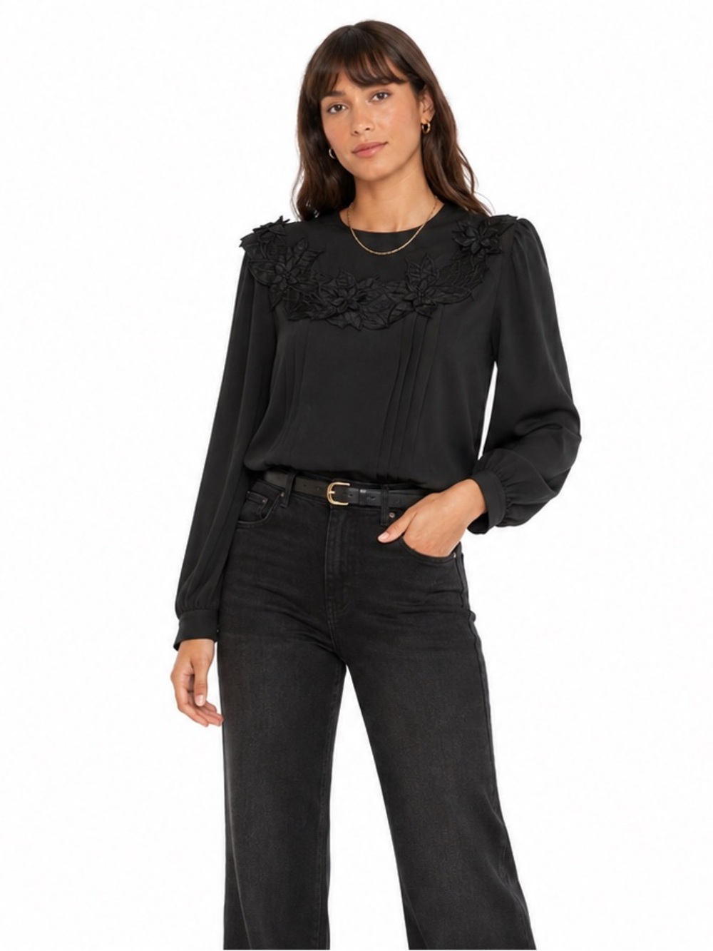 Vintage Sheer Embroidered Yoke Blouse